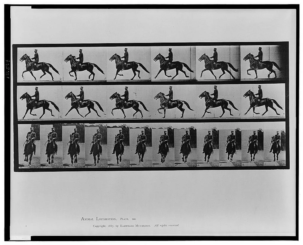 Animal locomotion, 1887
