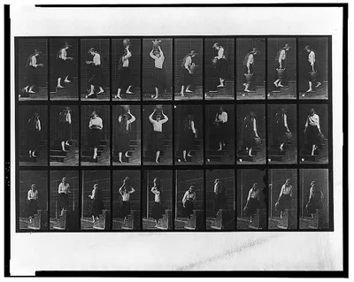 Animal locomotion, 1887