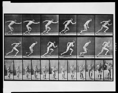 Animal Locomotion, 1887