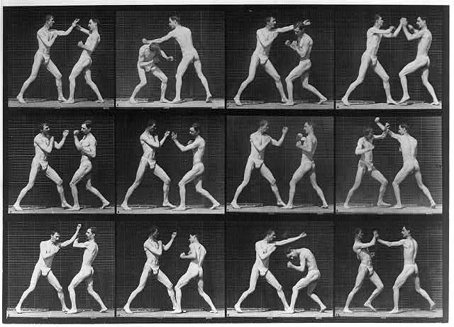 Animal locomotion, 1887