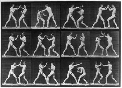 Animal locomotion, 1887