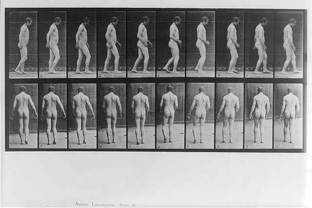 Animal Locomotion: [20 frames of naked man walking - rear and rt.…, 1887