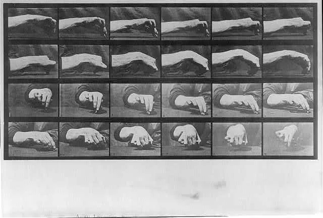 Animal Locomotion: [24 frames of hand drawing chalk circle, plate 532], 1887