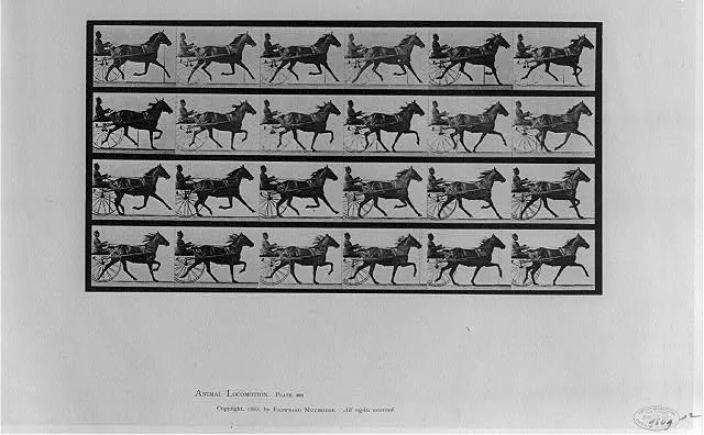 Animal Locomotion, 1887