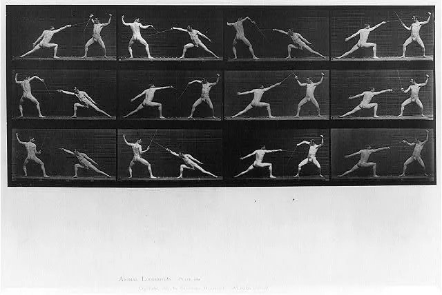 Animal Locomotion. Plate 349, 1887
