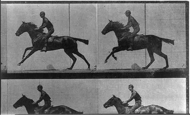 [Horse in motion, galloping], 1887