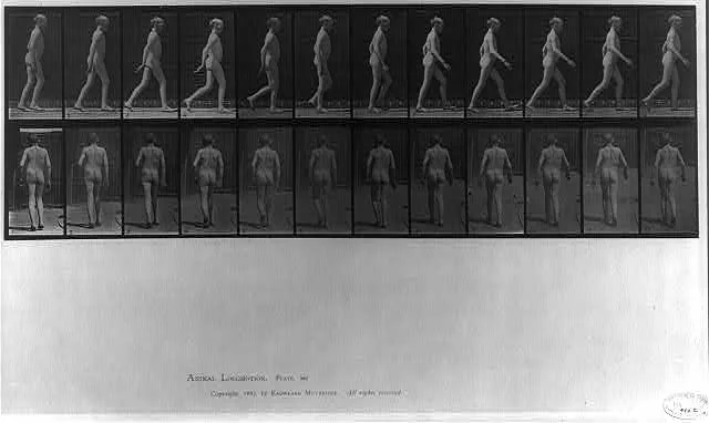Animal Locomotion - side and rear views of boy walking (pl. 562), 1887