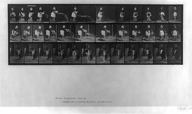 [Animal Locomotion. Motion-picture frames: 3 sequences of woman…, 1887