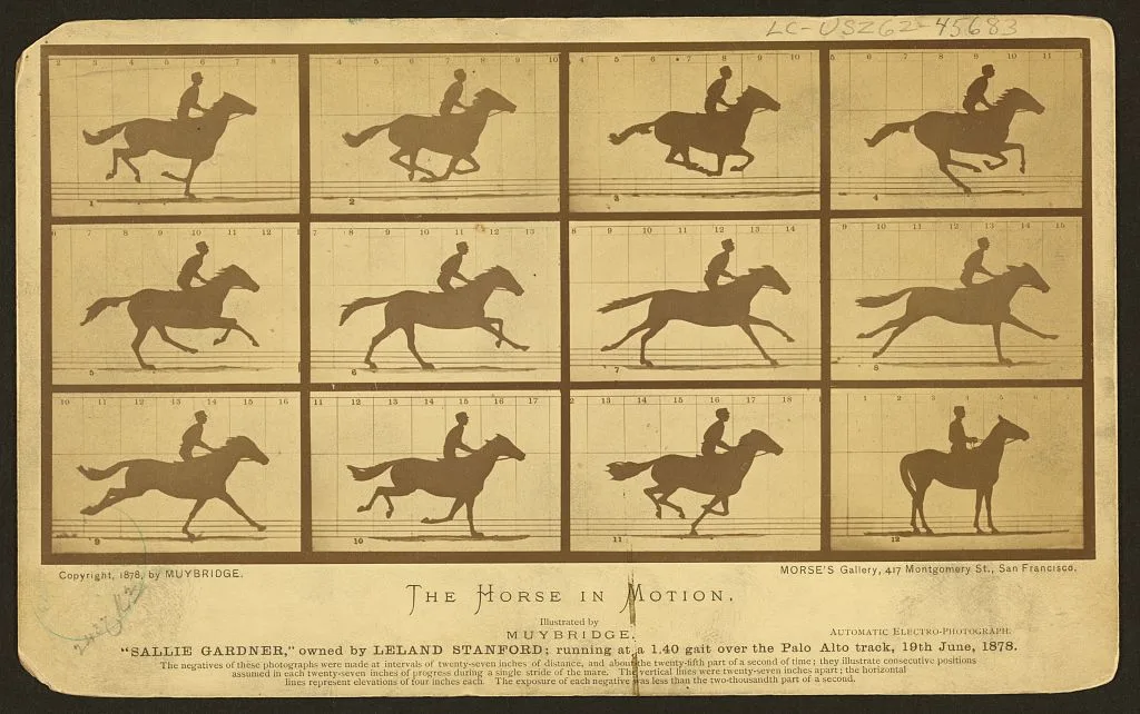 The horse in motion, illus. by Muybridge. "Sallie Gardner," owned by…, California, Palo Alto, 1878