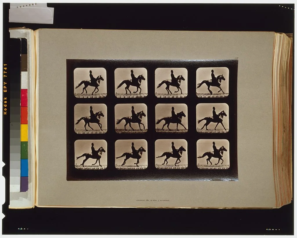 Horses. Cantering, Palo Alto, California, 1881