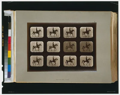 Horses. Walking, Palo Alto, California, 1881