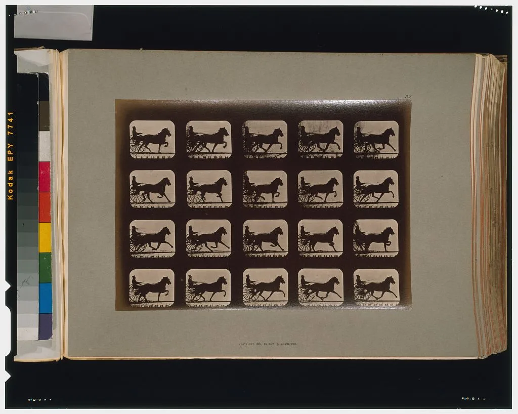 Horses. Pacing, Palo Alto, California, 1881