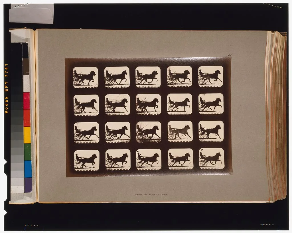 Horses. Pacing, California, Palo Alto, 1881