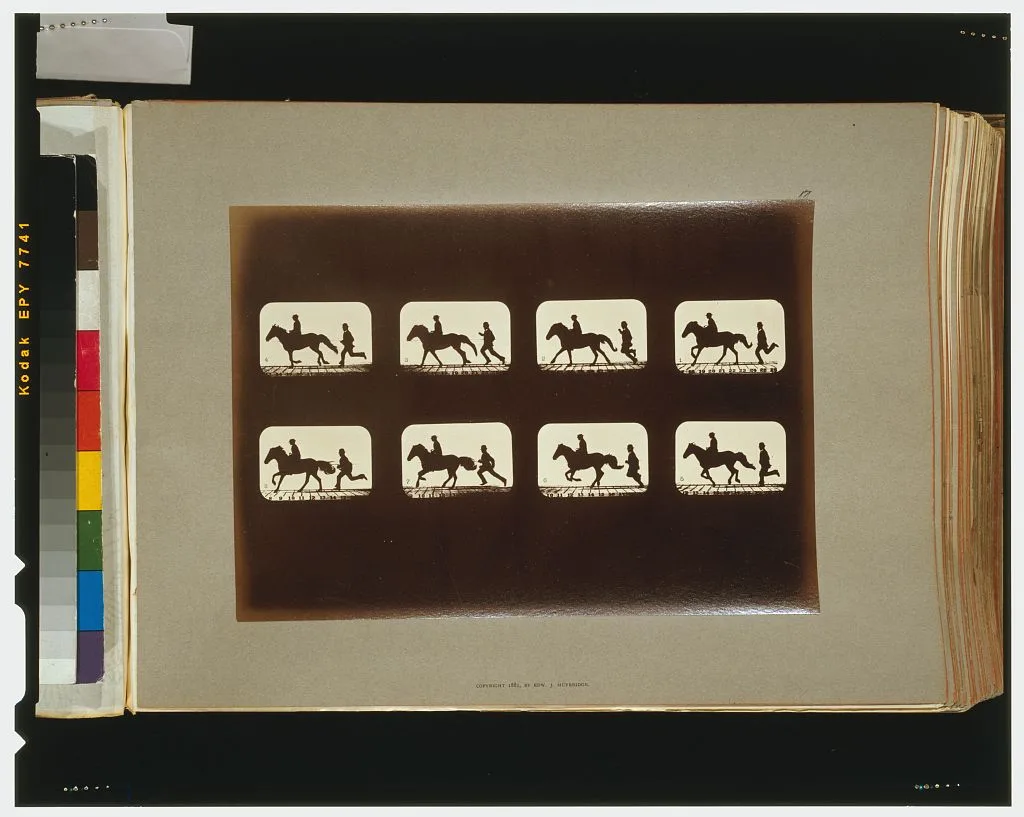 Horses. Cantering, California, Palo Alto, 1881