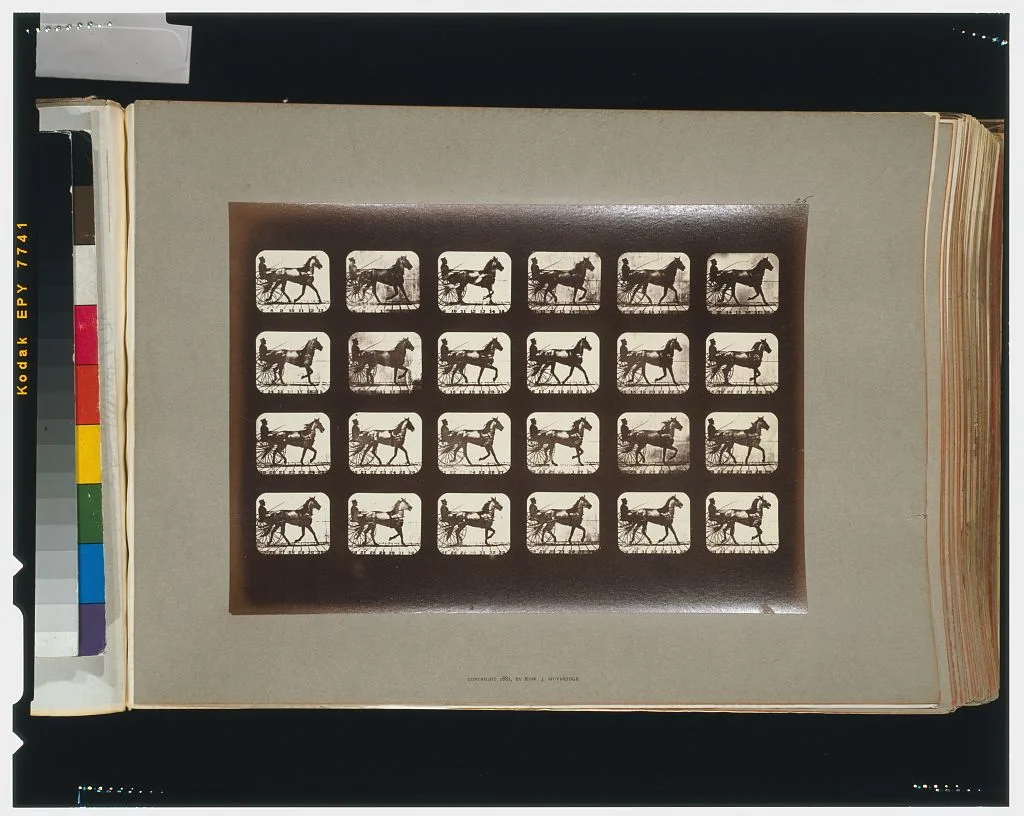 Horses. Trotting, Palo Alto, California, 1881
