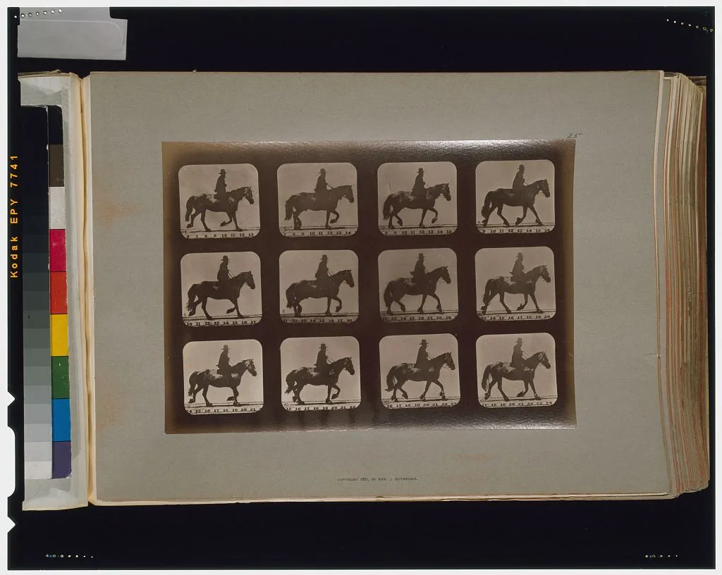 Horses. Trotting, Palo Alto, California, 1881