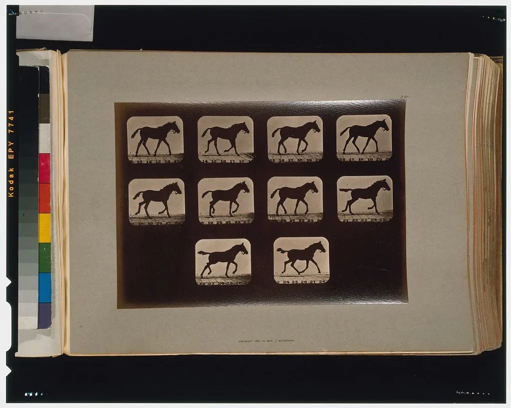 Horses. Trotting, Palo Alto, California, 1881