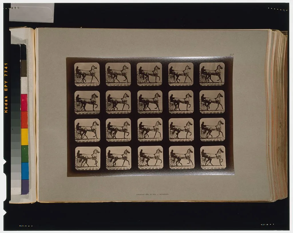 Horses. Trotting, Palo Alto, California, 1881