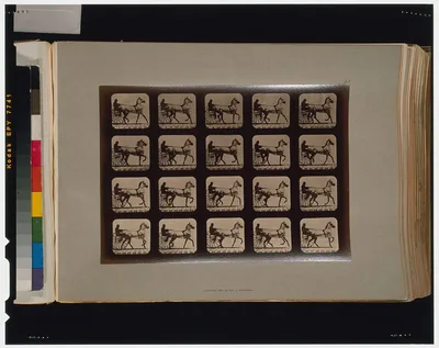 Horses. Trotting, Palo Alto, California, 1881