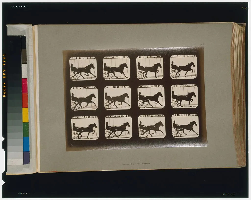 Horses. Trotting, Palo Alto, California, 1881