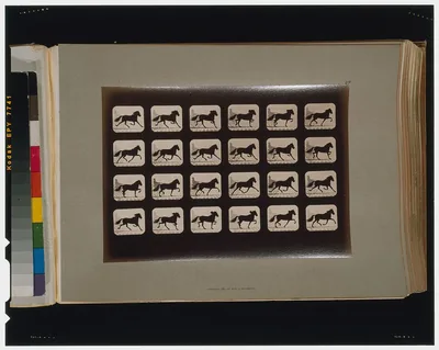 Horses. Trotting, Palo Alto, California, 1881