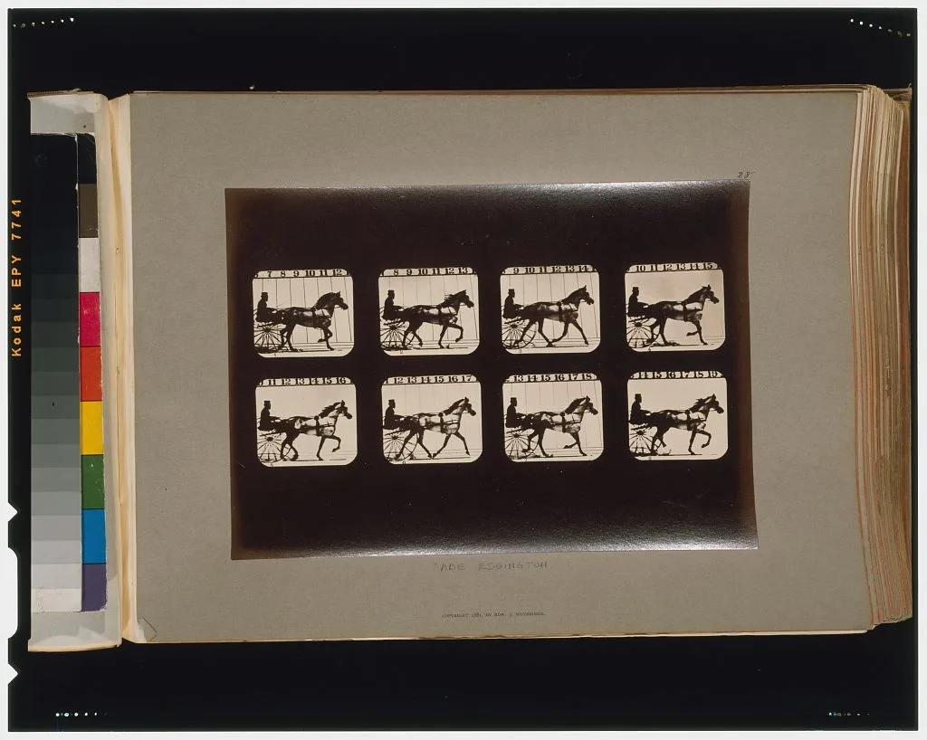 Horses. Trotting, California, Palo Alto, 1881