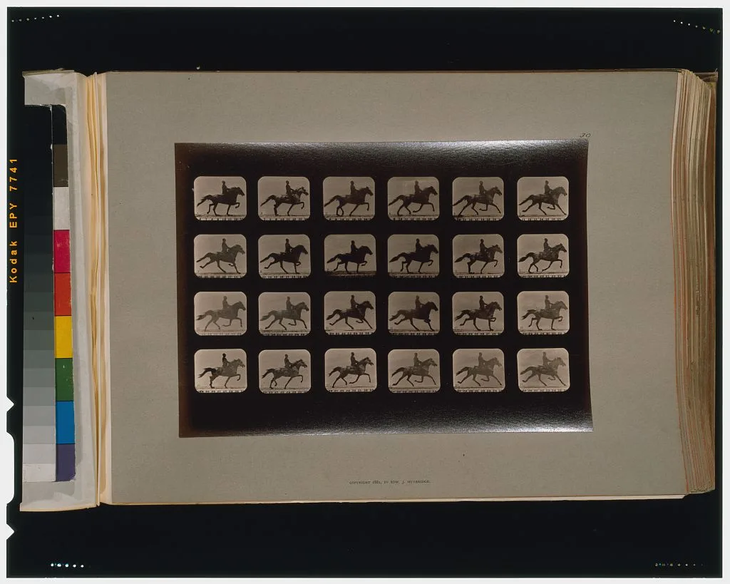 Horses. Trotting, Palo Alto, California, 1881