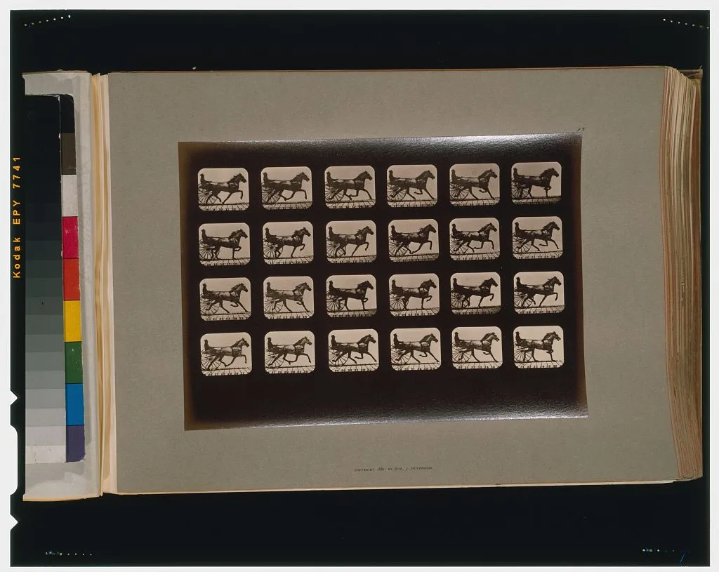 Horses. Trotting, Palo Alto, California, 1881