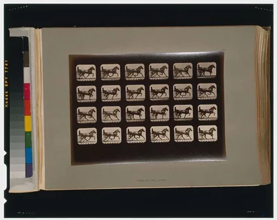 Horses. Trotting, Palo Alto, California, 1881