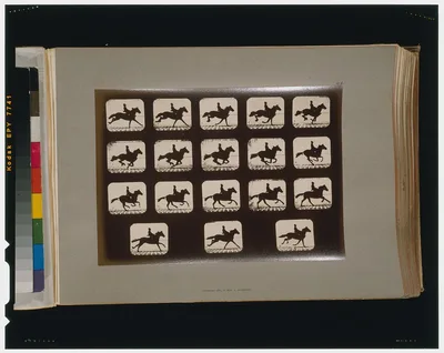 Horses. Running, Palo Alto, California, 1881