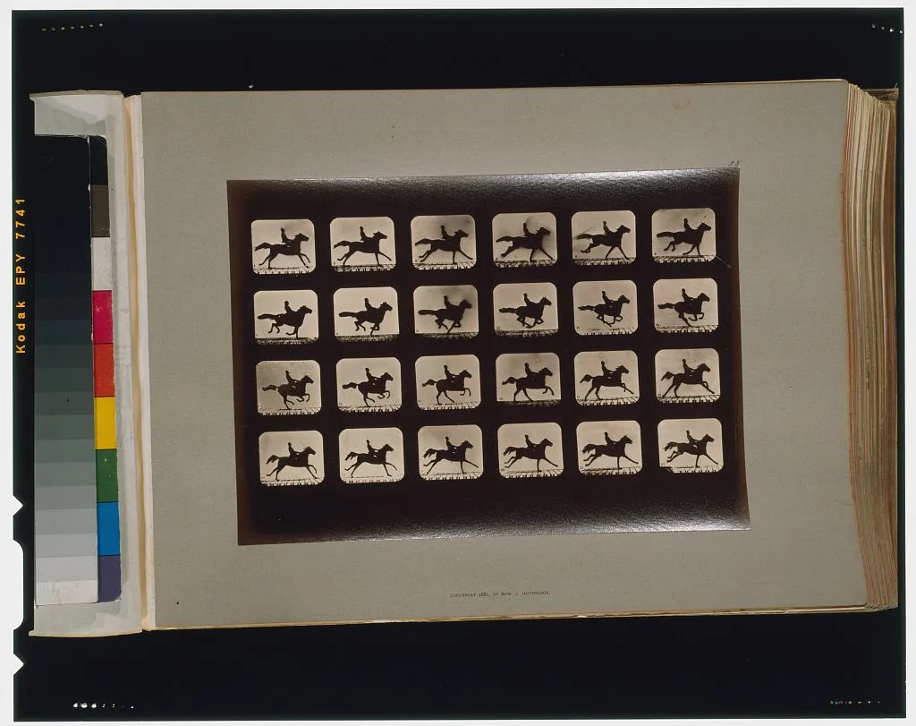 Horses. Running, Palo Alto, California, 1881