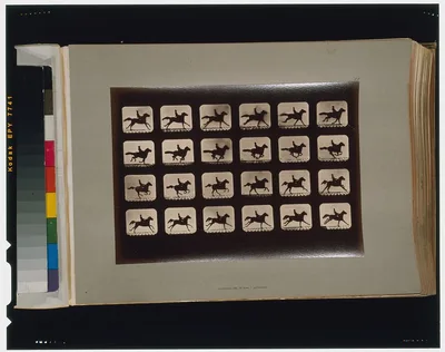 Horses. Running, Palo Alto, California, 1881