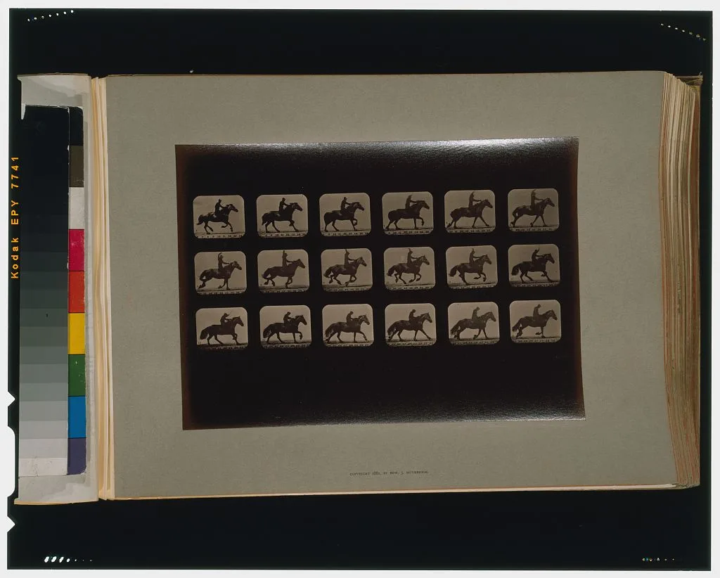 Horses. Running, Palo Alto, California, 1881