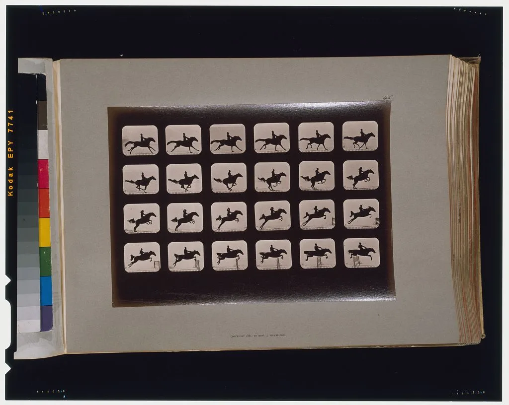 Horses. Leaping a 3 ft. 6 hurdle, California, Palo Alto, 1881
