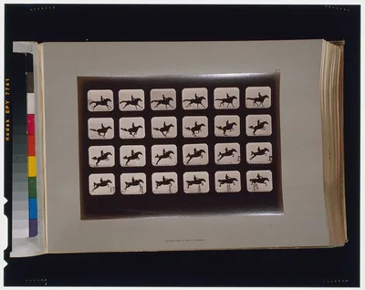 Horses. Leaping a 3 ft. 6 hurdle, California, Palo Alto, 1881
