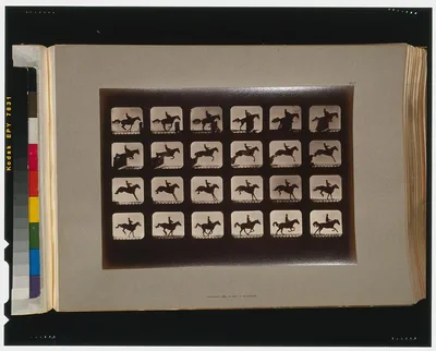 Horses. Leaping a 3 ft. 6 hurdle, California, Palo Alto, 1881