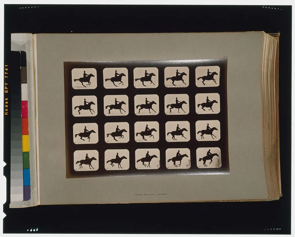Horses. Leaping a 3 ft. 6 hurdle, Palo Alto, California, 1881