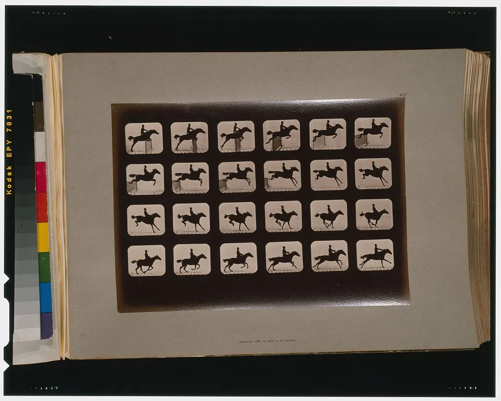 Horses. Leaping a 3 ft. 6 hurdle, California, Palo Alto, 1881