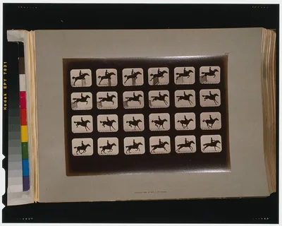 Horses. Leaping a 3 ft. 6 hurdle, California, Palo Alto, 1881
