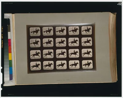 Horses. Running, California, Palo Alto, 1881