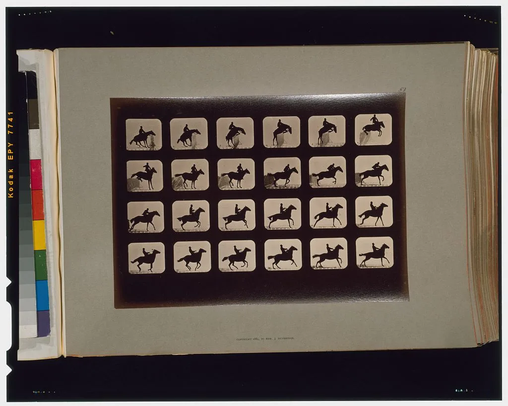 Horses. Leaping a 3 ft. 6 hurdle. Irregular, California, Palo Alto, 1881