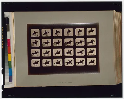 Horses. Leaping a 3 ft. 6 hurdle. Irregular, California, Palo Alto, 1881
