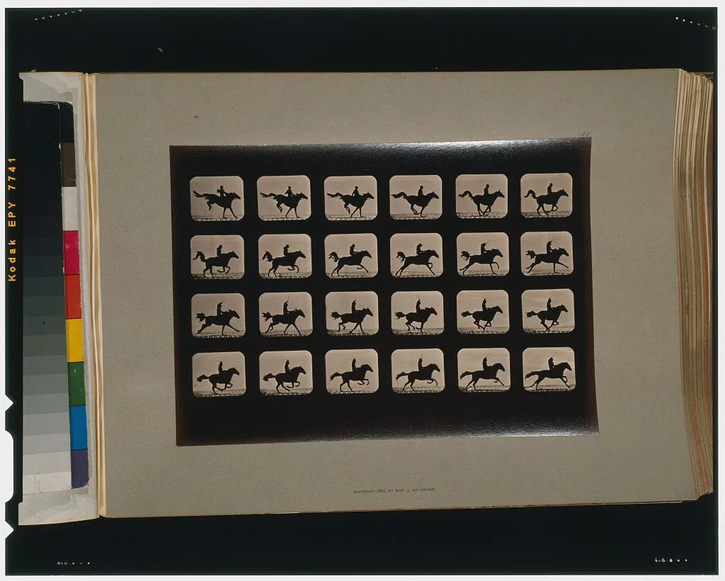 Horses. After leaping a 3 ft. 6 hurdle, California, Palo Alto, 1881