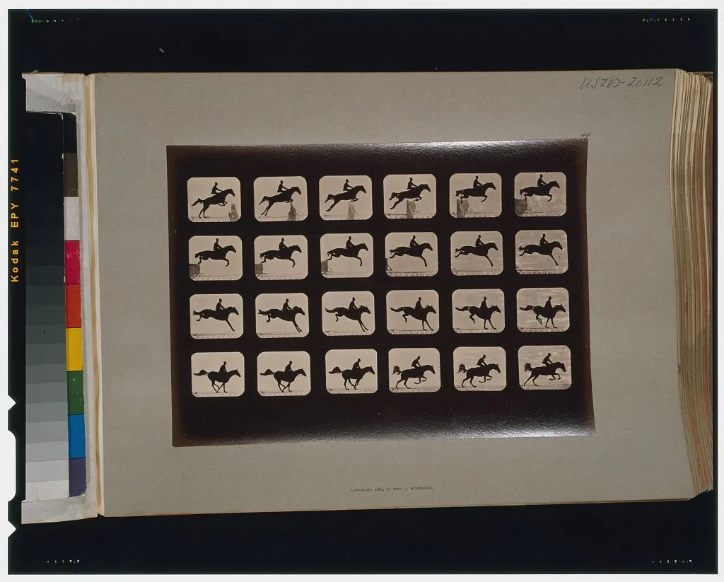 Horses. Leaping a 3 ft. 6 hurdle, Palo Alto, California, 1881