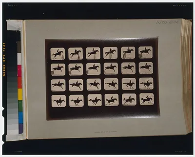 Horses. Leaping a 3 ft. 6 hurdle, Palo Alto, California, 1881