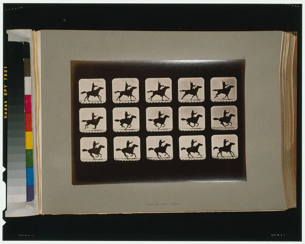 Horses. Irregular, Palo Alto, California, 1881