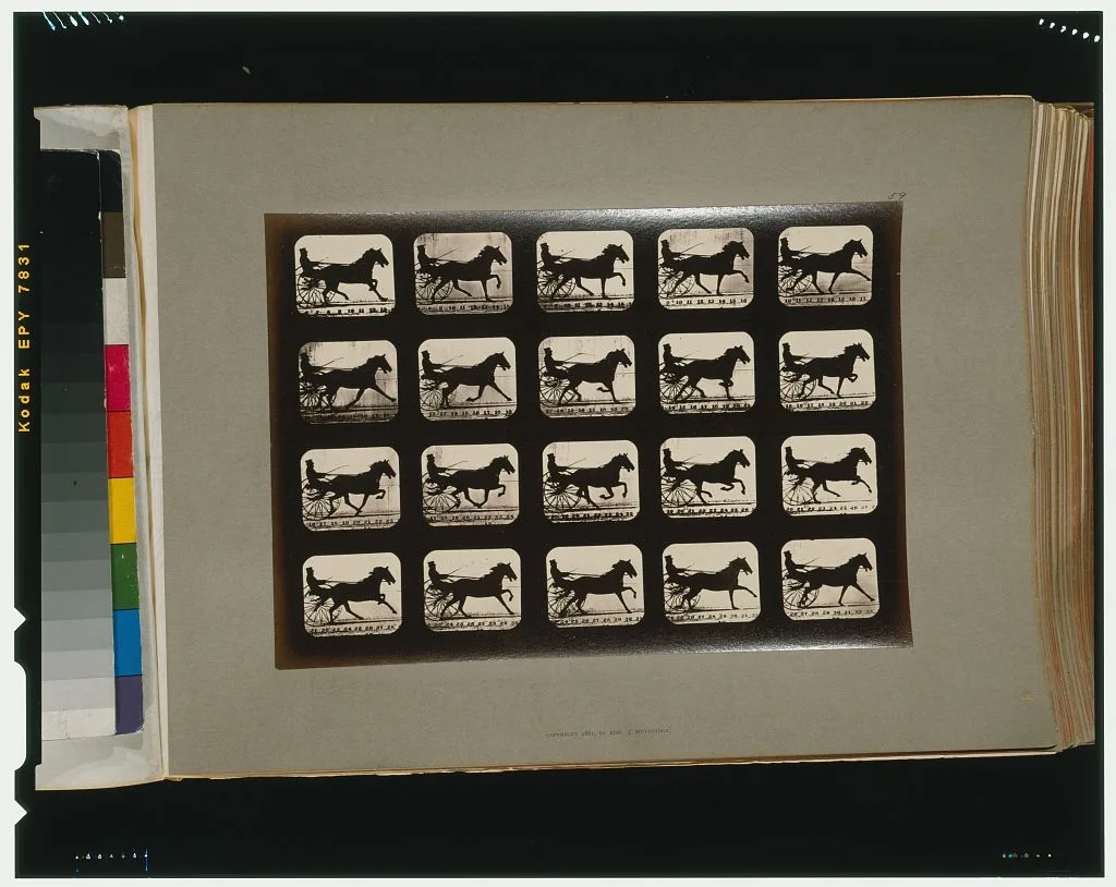 Horses. Pacing, Palo Alto, California, 1881