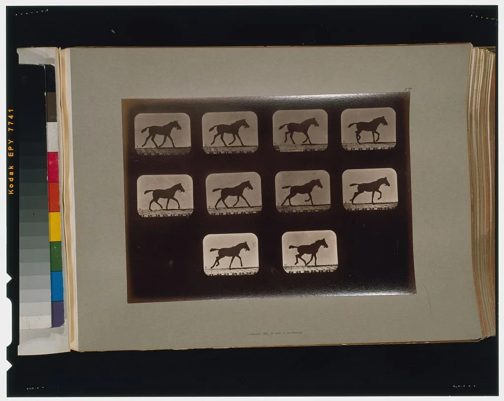 Horses. Trotting, change to running, Palo Alto, California, 1881