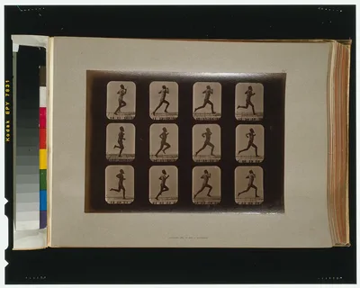 Athletes. Running, California, Palo Alto, 1881