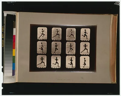 Athletes. Running, California, Palo Alto, 1881
